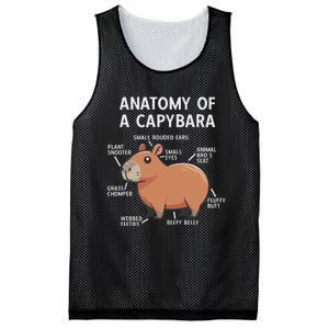 Funny Anatomy Of A Capybara Mesh Reversible Basketball Jersey Tank