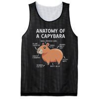 Funny Anatomy Of A Capybara Mesh Reversible Basketball Jersey Tank