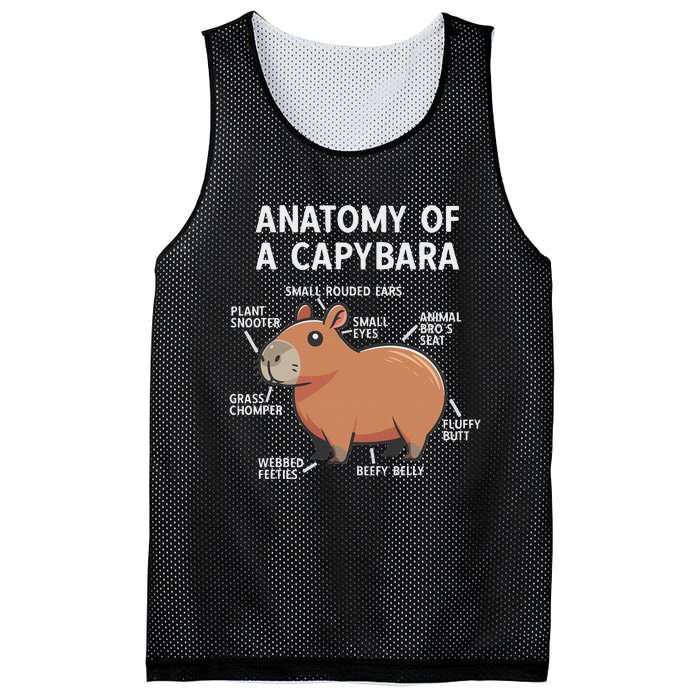 Funny Anatomy Of A Capybara Mesh Reversible Basketball Jersey Tank