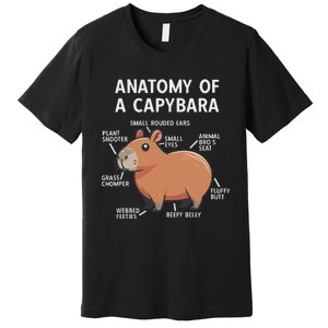 Funny Anatomy Of A Capybara Premium T-Shirt