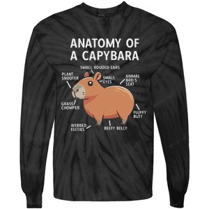 Funny Anatomy Of A Capybara Tie-Dye Long Sleeve Shirt