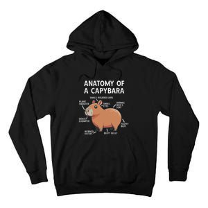 Funny Anatomy Of A Capybara Tall Hoodie