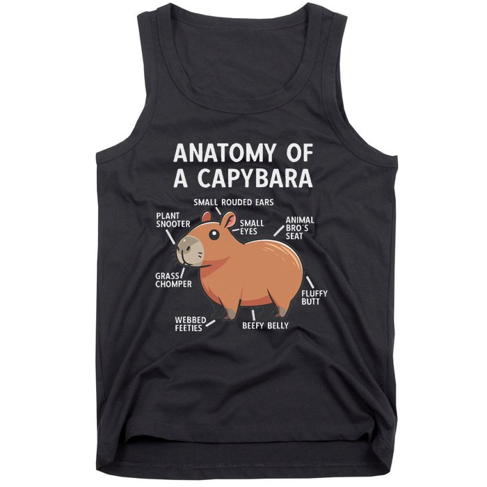 Funny Anatomy Of A Capybara Tank Top