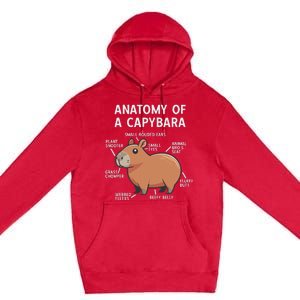 Funny Anatomy Of A Capybara Premium Pullover Hoodie