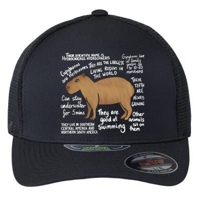 Funny Anatomy Of A Capybara Cute Capybaras Flexfit Unipanel Trucker Cap