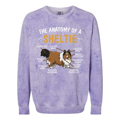 Funny Anatomy Of A Sheltie For Dog Lovers Gift Colorblast Crewneck Sweatshirt