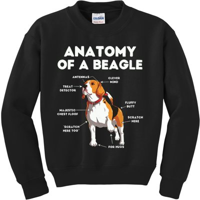 Funny Anatomy Of A Beagle Kids Sweatshirt