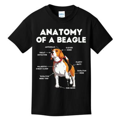 Funny Anatomy Of A Beagle Kids T-Shirt