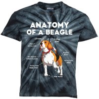 Funny Anatomy Of A Beagle Kids Tie-Dye T-Shirt