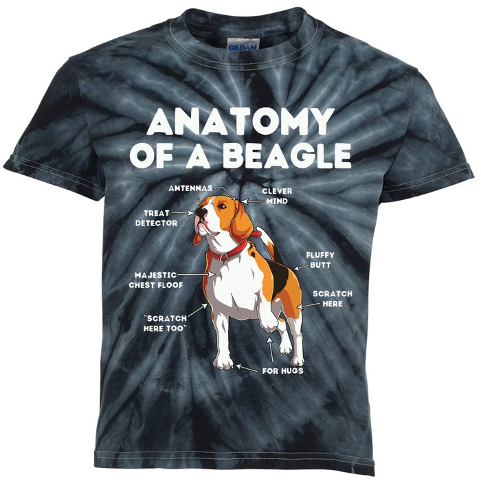 Funny Anatomy Of A Beagle Kids Tie-Dye T-Shirt