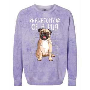 Funny Anatomy Pug Dog Pug Lover Colorblast Crewneck Sweatshirt