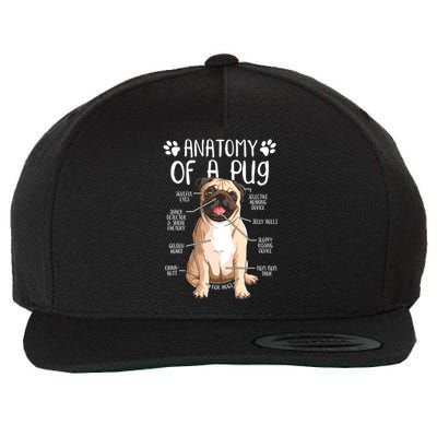 Funny Anatomy Pug Dog Pug Lover Wool Snapback Cap