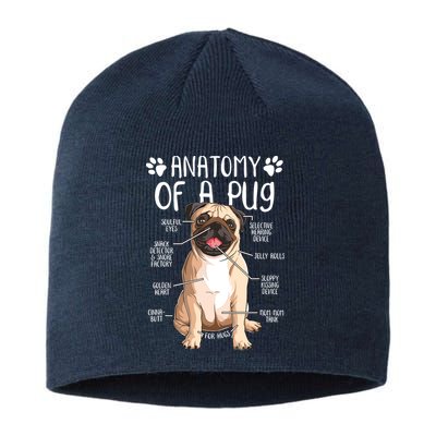 Funny Anatomy Pug Dog Pug Lover Sustainable Beanie