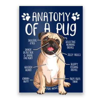 Funny Anatomy Pug Dog Pug Lover Poster