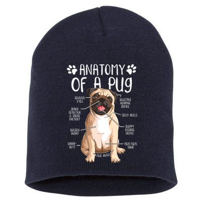 Funny Anatomy Pug Dog Pug Lover Short Acrylic Beanie