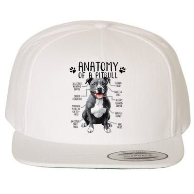 Funny Anatomy Pitbull Dog Cute Pittie Lover Pit Bull Owner Wool Snapback Cap