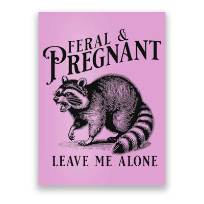 Feral And Pregnant Racoon Poster