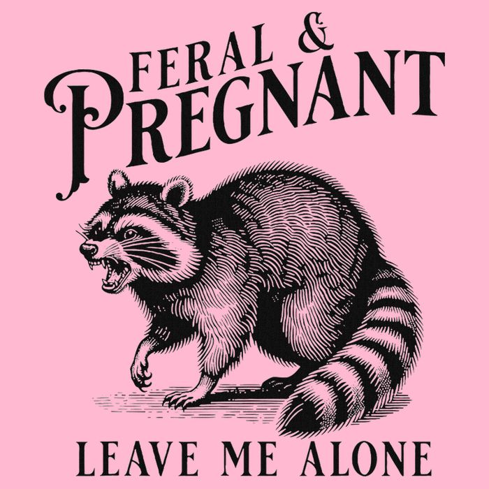 Feral And Pregnant Racoon Womens T-Shirt