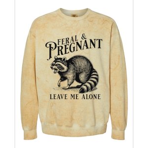 Feral And Pregnant Leave Me Alone Funny Pregnancy Humor Colorblast Crewneck Sweatshirt