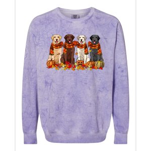 Fall Autumn Pumpkin Labrador Retriever Thanksgiving Dog Mom Colorblast Crewneck Sweatshirt