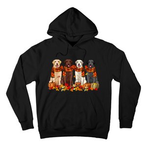 Fall Autumn Pumpkin Labrador Retriever Thanksgiving Dog Mom Hoodie