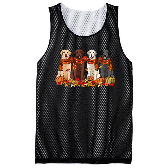 Fall Autumn Pumpkin Labrador Retriever Thanksgiving Dog Mom Mesh Reversible Basketball Jersey Tank