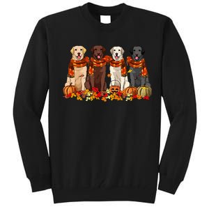 Fall Autumn Pumpkin Labrador Retriever Thanksgiving Dog Mom Tall Sweatshirt