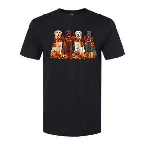 Fall Autumn Pumpkin Labrador Retriever Thanksgiving Dog Mom Softstyle CVC T-Shirt