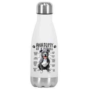 Funny Anatomy Pitbull Dog Cute Pittie Lover Pit Bull Owner Stainless Steel Insulated Water Bottle