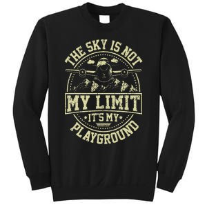 Funny Aviator Pilot Airplane Plane Aviation Gifts Sweatshirt