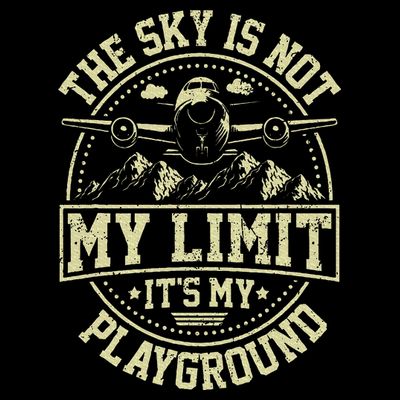 Funny Aviator Pilot Airplane Plane Aviation Gifts T-Shirt