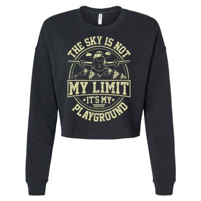 Funny Aviator Pilot Airplane Plane Aviation Gifts Cropped Pullover Crew