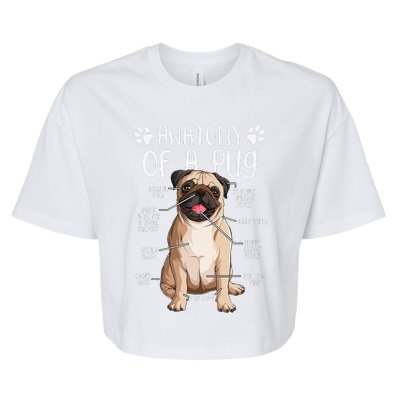 Funny Anatomy Pug Dog Pug Lover Bella+Canvas Jersey Crop Tee