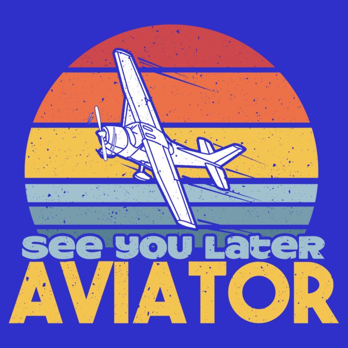 Funny Airplane Pilot Costume See You Later Aviator Pilot Meaningful Gift 16 in Basic Backpack