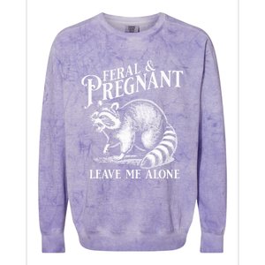 Feral And Pregnant Leave Me Alone Funny Pregnancy Humor Colorblast Crewneck Sweatshirt