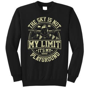 Funny Aviator Pilot Airplane Plane Aviation Sweatshirt