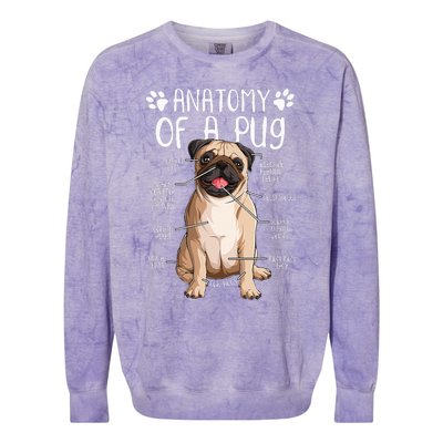 Funny Anatomy Pug Dog Pug Lover Colorblast Crewneck Sweatshirt