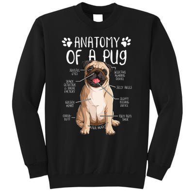 Funny Anatomy Pug Dog Pug Lover Sweatshirt