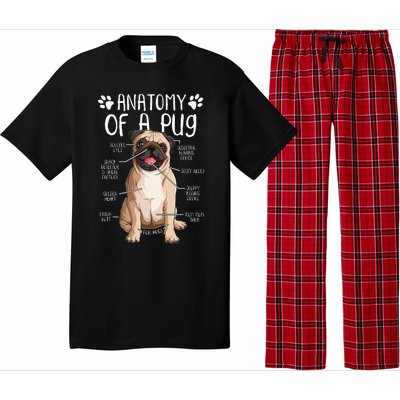 Funny Anatomy Pug Dog Pug Lover Pajama Set