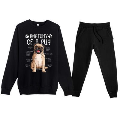 Funny Anatomy Pug Dog Pug Lover Premium Crewneck Sweatsuit Set