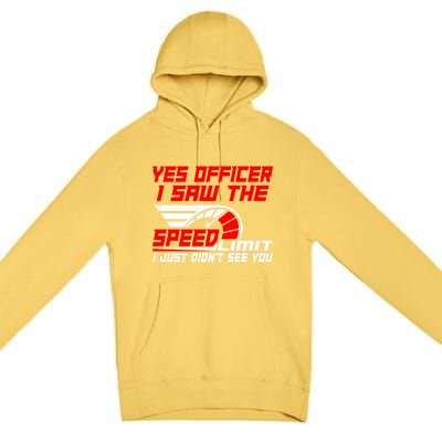 Funny Auto Racing For Car And Motorcycle Enthusiasts Gift Premium Pullover Hoodie