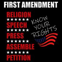 First Amendment Rights Audit United States Constitution Flag 7-Panel Snapback Hat