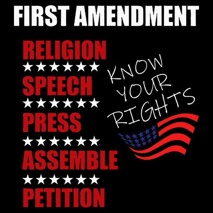 First Amendment Rights Audit United States Constitution Flag 7-Panel Snapback Hat