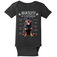 Funny Anatomy Rottweiler Dog Owner Rottie Dad Mom Pet Lover Baby Bodysuit