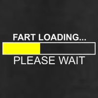 Fart Loading 7 Panel Mesh Trucker Snapback Hat