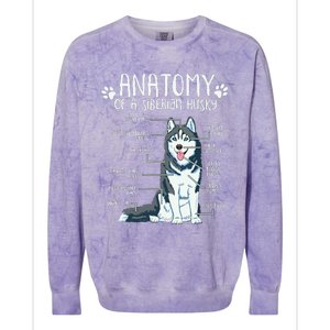 Funny Anatomy Siberian Husky Dog Lover Colorblast Crewneck Sweatshirt