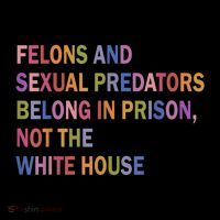 Felons And Sexual Predators Belong In Prison, Not The White House T-Shirt