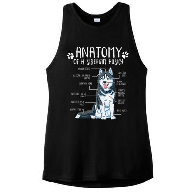 Funny Anatomy Siberian Husky Dog Lover Ladies PosiCharge Tri-Blend Wicking Tank