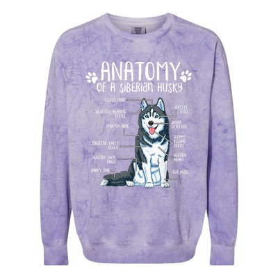 Funny Anatomy Siberian Husky Dog Lover TShirt Colorblast Crewneck Sweatshirt