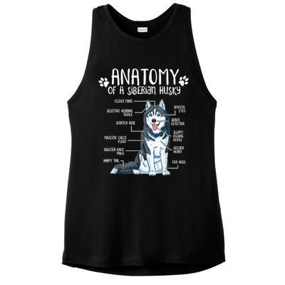 Funny Anatomy Siberian Husky Dog Lover TShirt Ladies PosiCharge Tri-Blend Wicking Tank